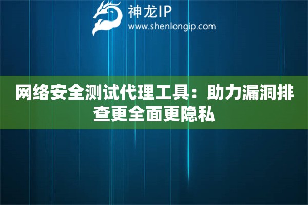 網(wǎng)絡(luò)安全測(cè)試代理工具：助力漏洞排查更全面更隱私
