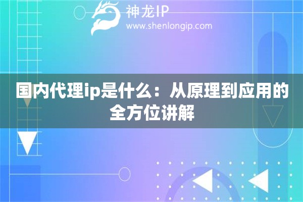 國內(nèi)代理ip是什么：從原理到應(yīng)用的全方位講解