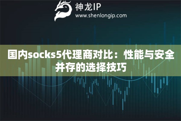 國內(nèi)socks5代理商對比：性能與安全并存的選擇技巧