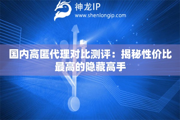 國內(nèi)高匿代理對比測評：揭秘性價比最高的隱藏高手