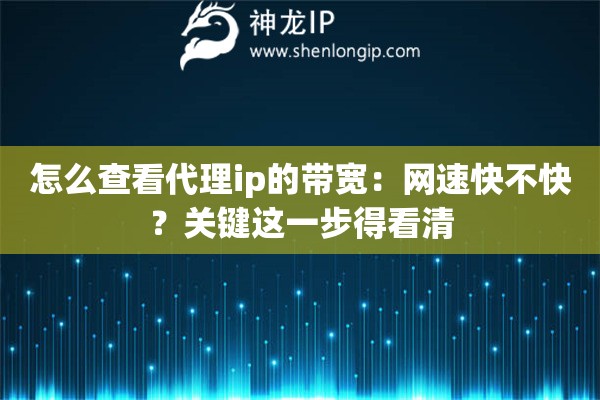怎么查看代理ip的帶寬：網(wǎng)速快不快？關(guān)鍵這一步得看清