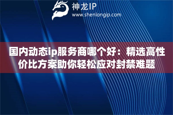 國(guó)內(nèi)動(dòng)態(tài)ip服務(wù)商哪個(gè)好：精選高性價(jià)比方案助你輕松應(yīng)對(duì)封禁難題