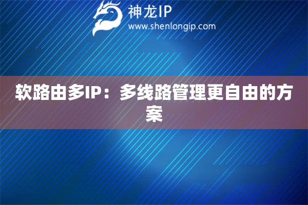 軟路由多IP：多線路管理更自由的方案