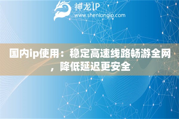 國(guó)內(nèi)ip使用：穩(wěn)定高速線路暢游全網(wǎng)，降低延遲更安全