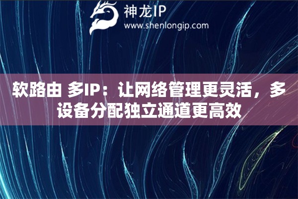 軟路由 多IP：讓網(wǎng)絡(luò)管理更靈活，多設(shè)備分配獨(dú)立通道更高效