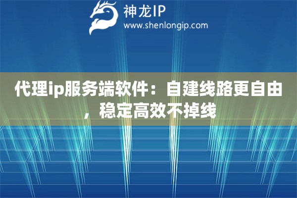 代理ip服務(wù)端軟件：自建線路更自由，穩(wěn)定高效不掉線