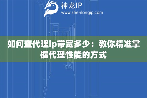 如何查代理ip帶寬多少：教你精準(zhǔn)掌握代理性能的方式