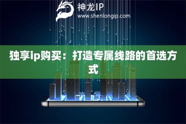獨(dú)享ip購買：打造專屬線路的首選方式