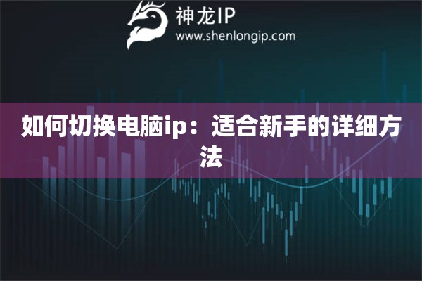 如何切換電腦ip：適合新手的詳細(xì)方法