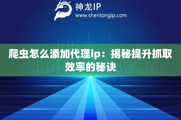 爬蟲(chóng)怎么添加代理ip：揭秘提升抓取效率的秘訣