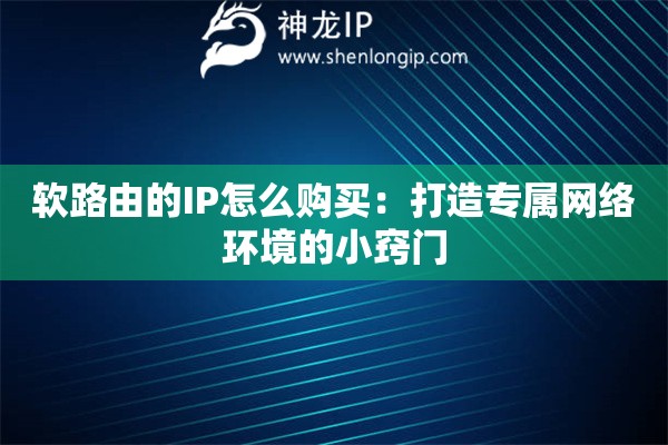 軟路由的IP怎么購(gòu)買(mǎi)：打造專(zhuān)屬網(wǎng)絡(luò)環(huán)境的小竅門(mén)