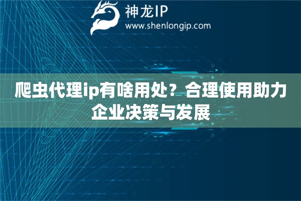 爬蟲(chóng)代理ip有啥用處？合理使用助力企業(yè)決策與發(fā)展