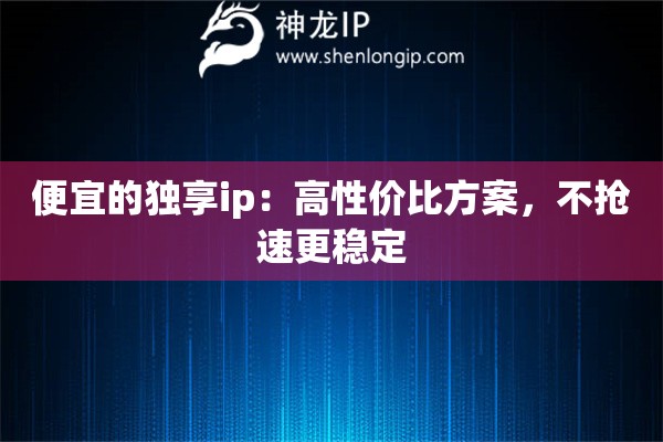 便宜的獨(dú)享ip：高性?xún)r(jià)比方案，不搶速更穩(wěn)定