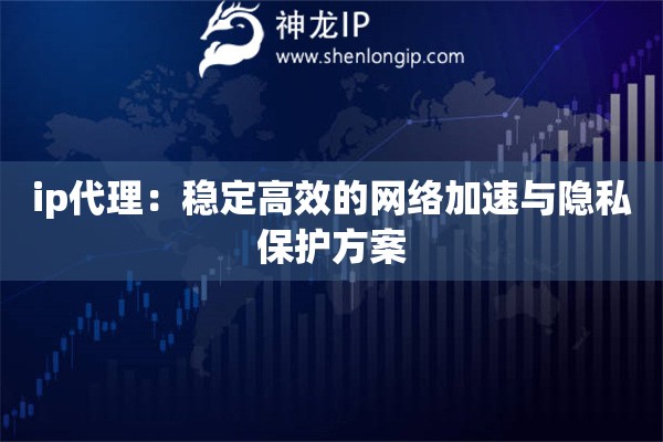 ip代理：穩(wěn)定高效的網(wǎng)絡(luò)加速與隱私保護(hù)方案