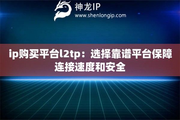 ip購買平臺l2tp：選擇靠譜平臺保障連接速度和安全