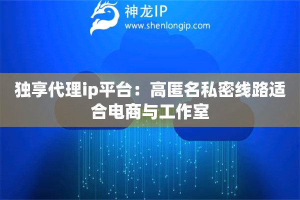 詳細(xì)閱讀:獨(dú)享代理ip平臺(tái):高匿名私密線路適合電商與工作室 獨(dú)享代理ip平臺(tái):高匿名私密線路適合電商與工作室