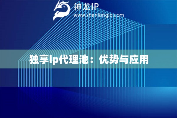 獨享ip代理池：優(yōu)勢與應(yīng)用