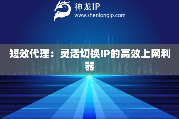 短效代理：靈活切換IP的高效上網(wǎng)利器