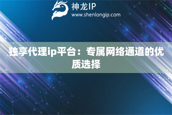 獨(dú)享代理ip平臺(tái)：專屬網(wǎng)絡(luò)通道的優(yōu)質(zhì)選擇