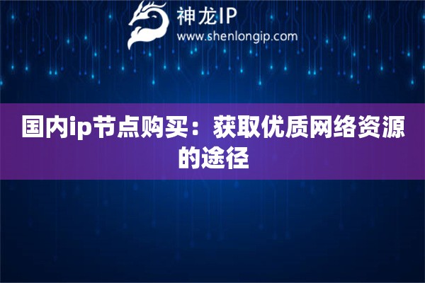 國內(nèi)ip節(jié)點購買：獲取優(yōu)質(zhì)網(wǎng)絡(luò)資源的途徑