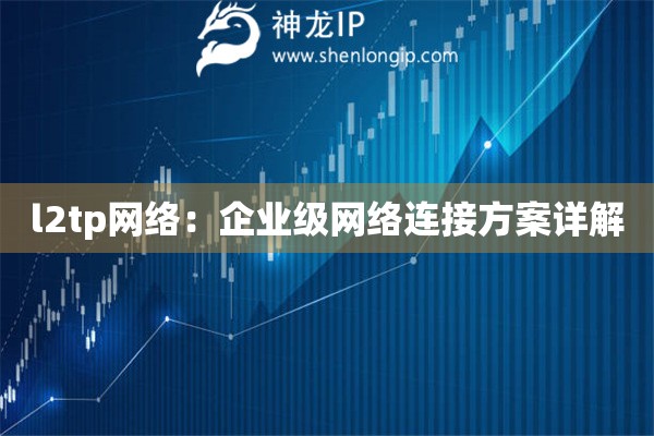 l2tp網(wǎng)絡(luò)：企業(yè)級網(wǎng)絡(luò)連接方案詳解