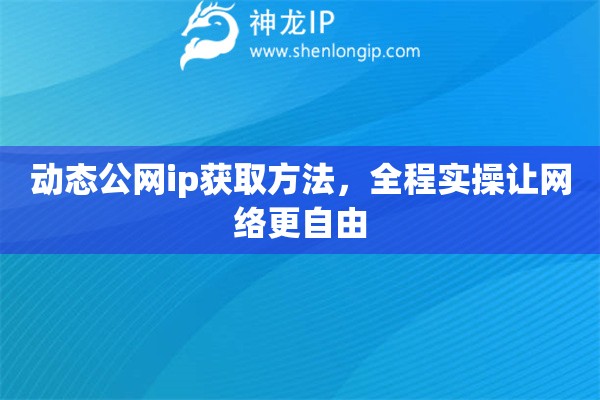 動態(tài)公網(wǎng)ip獲取方法，全程實操讓網(wǎng)絡(luò)更自由