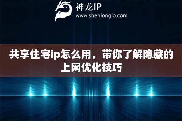 共享住宅ip怎么用，帶你了解隱藏的上網(wǎng)優(yōu)化技巧