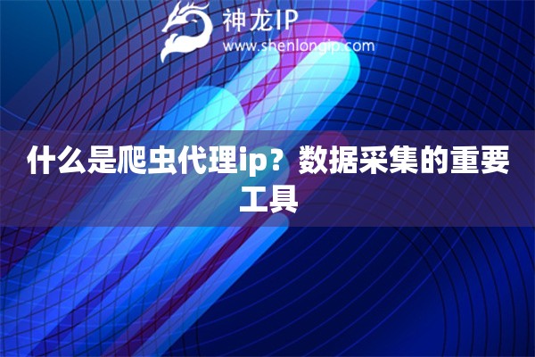 什么是爬蟲代理ip？數(shù)據(jù)采集的重要工具