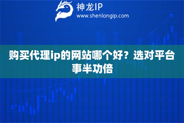 購(gòu)買代理ip的網(wǎng)站哪個(gè)好？選對(duì)平臺(tái)事半功倍