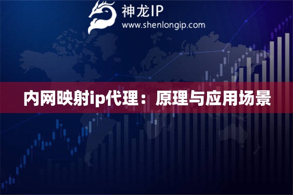 內(nèi)網(wǎng)映射ip代理：原理與應(yīng)用場景