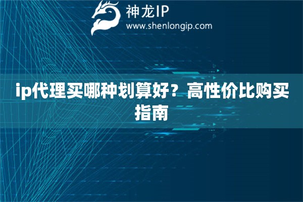 ip代理買哪種劃算好？高性價比購買指南