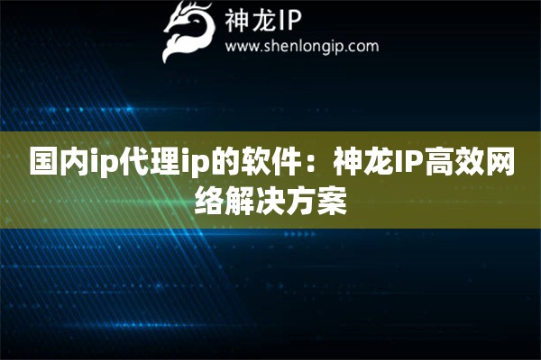 國內(nèi)ip代理ip的軟件：神龍IP高效網(wǎng)絡解決方案