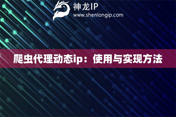 爬蟲代理動態(tài)ip：使用與實現(xiàn)方法