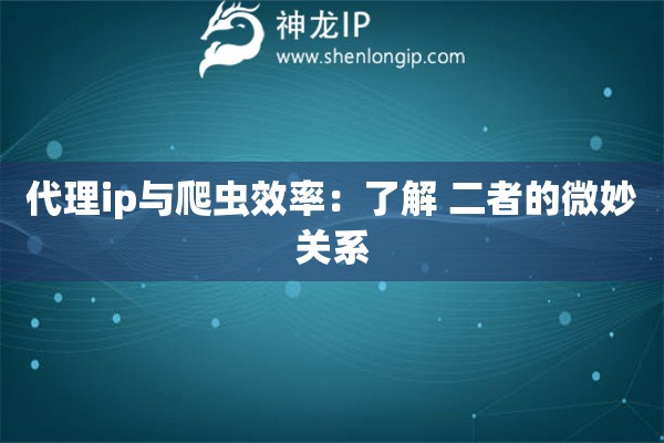 代理ip與爬蟲效率：了解 二者的微妙關系