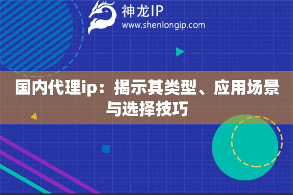 國內(nèi)代理ip：揭示其類型、應(yīng)用場景與選擇技巧