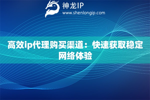 高效ip代理購(gòu)買渠道：快速獲取穩(wěn)定網(wǎng)絡(luò)體驗(yàn)