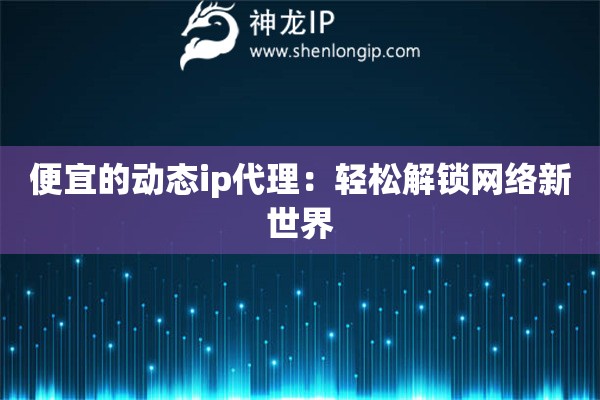 便宜的動態(tài)ip代理：輕松解鎖網(wǎng)絡(luò)新世界