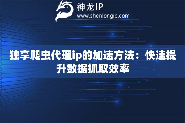 獨(dú)享爬蟲(chóng)代理ip的加速方法：快速提升數(shù)據(jù)抓取效率