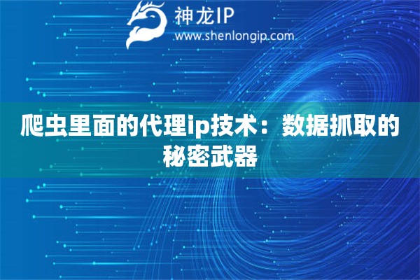 爬蟲(chóng)里面的代理ip技術(shù)：數(shù)據(jù)抓取的秘密武器