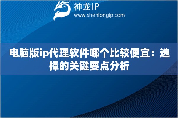 電腦版ip代理軟件哪個比較便宜：選擇的關鍵要點分析
