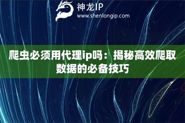 爬蟲(chóng)必須用代理ip嗎：揭秘高效爬取數(shù)據(jù)的必備技巧