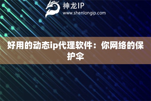 好用的動態(tài)ip代理軟件：你網(wǎng)絡的保護傘