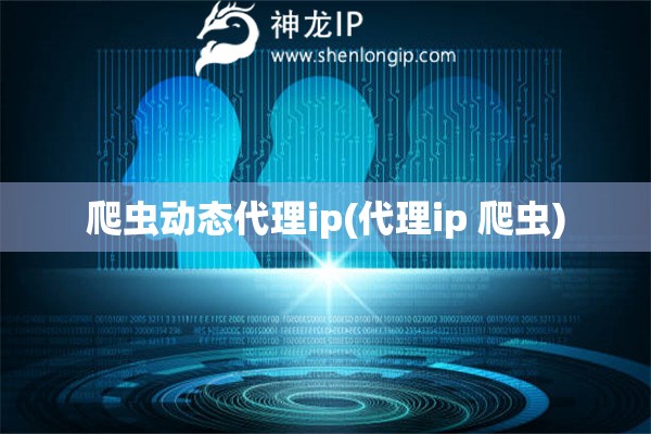 爬蟲(chóng)動(dòng)態(tài)代理ip(代理ip 爬蟲(chóng))