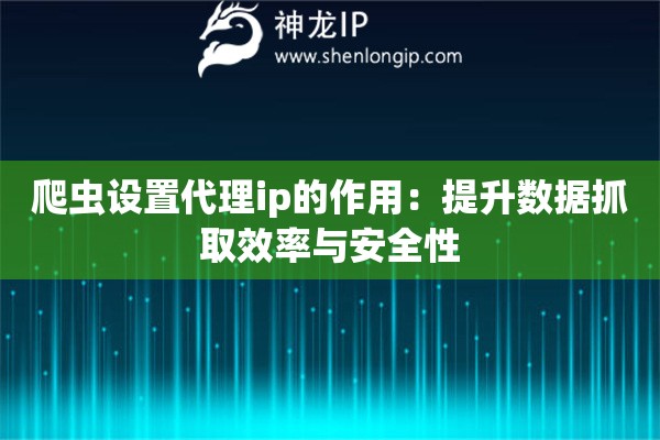爬蟲(chóng)設(shè)置代理ip的作用：提升數(shù)據(jù)抓取效率與安全性