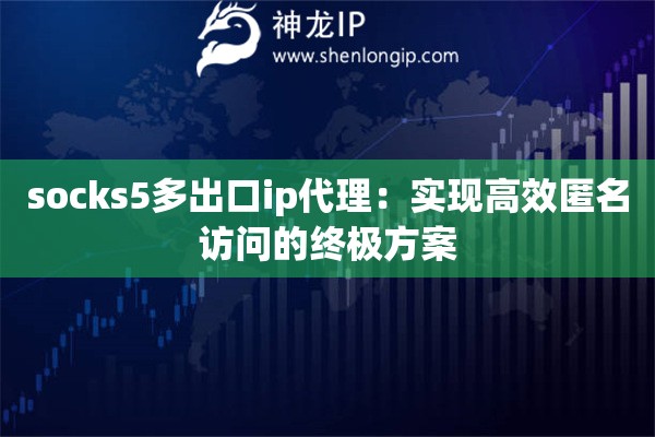 socks5多出口ip代理：實現(xiàn)高效匿名訪問的終極方案