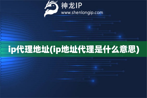 ip代理地址(ip地址代理是什么意思)
