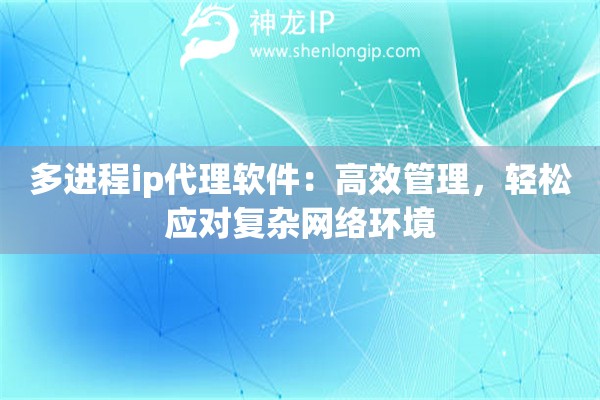 多進(jìn)程ip代理軟件：高效管理，輕松應(yīng)對(duì)復(fù)雜網(wǎng)絡(luò)環(huán)境