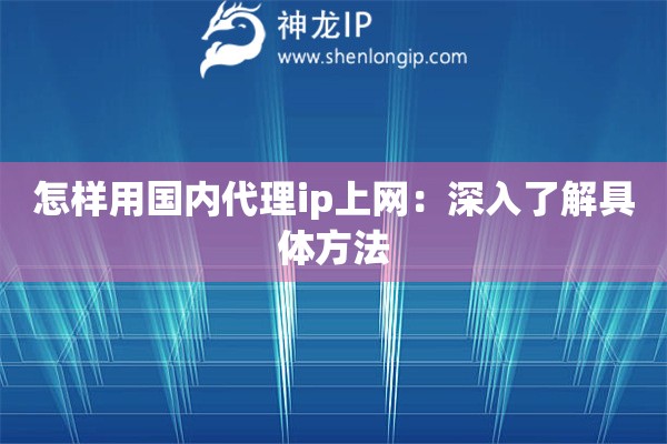 怎樣用國內(nèi)代理ip上網(wǎng)：深入了解具體方法