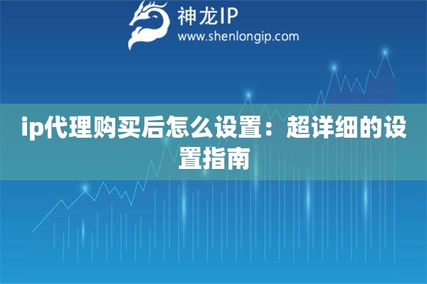 ip代理購買后怎么設(shè)置：超詳細(xì)的設(shè)置指南