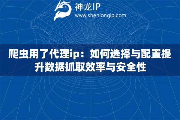 爬蟲用了代理ip：如何選擇與配置提升數(shù)據(jù)抓取效率與安全性